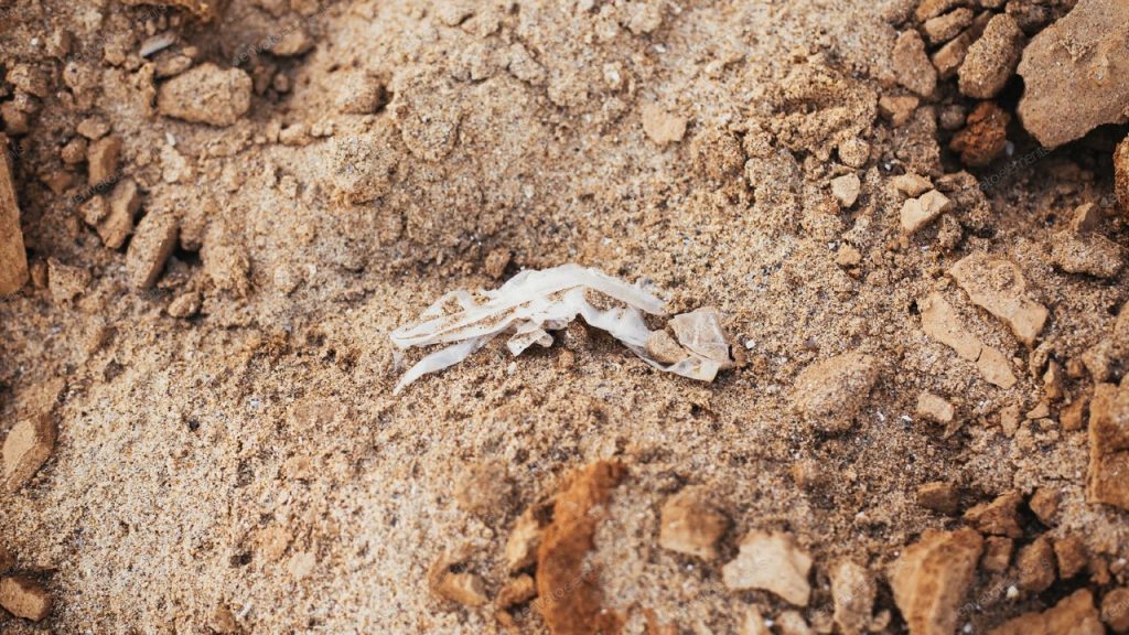 Wet wipes Environment